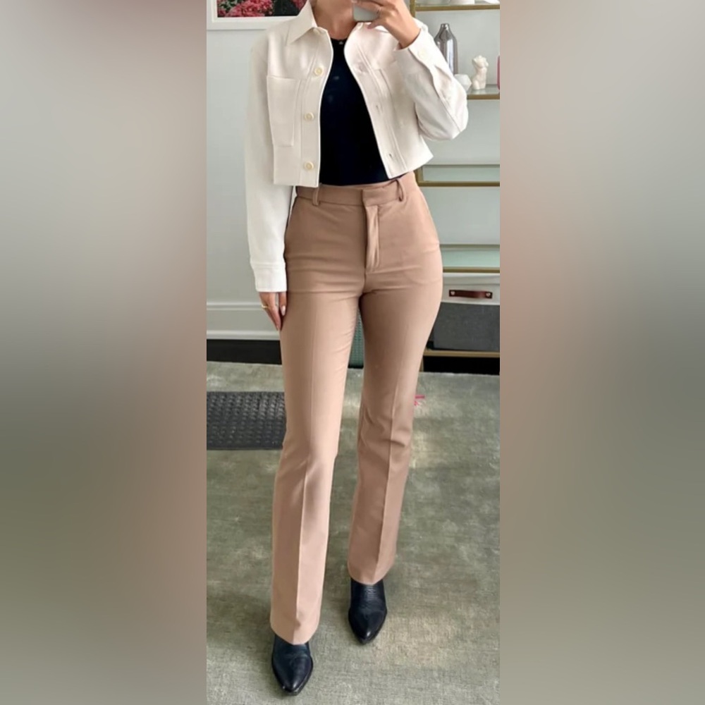 Aritzia Babaton Publish Pant